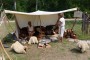 Thumbs/tn_Zaterdag Castlefest 2015 034.jpg